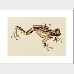 frog Posters and Art